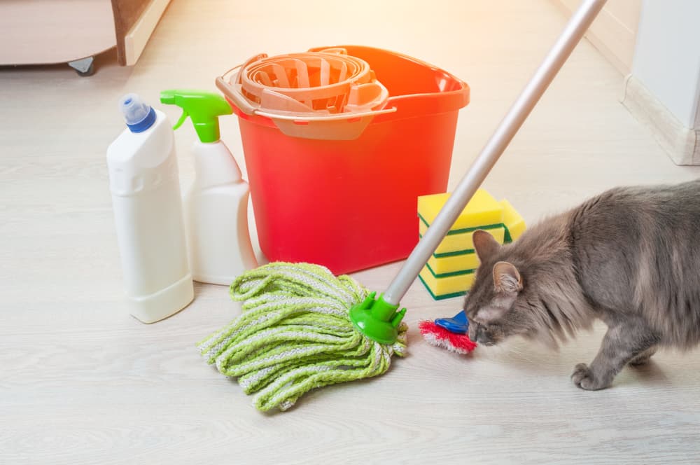How do you get rid of cat urine smell