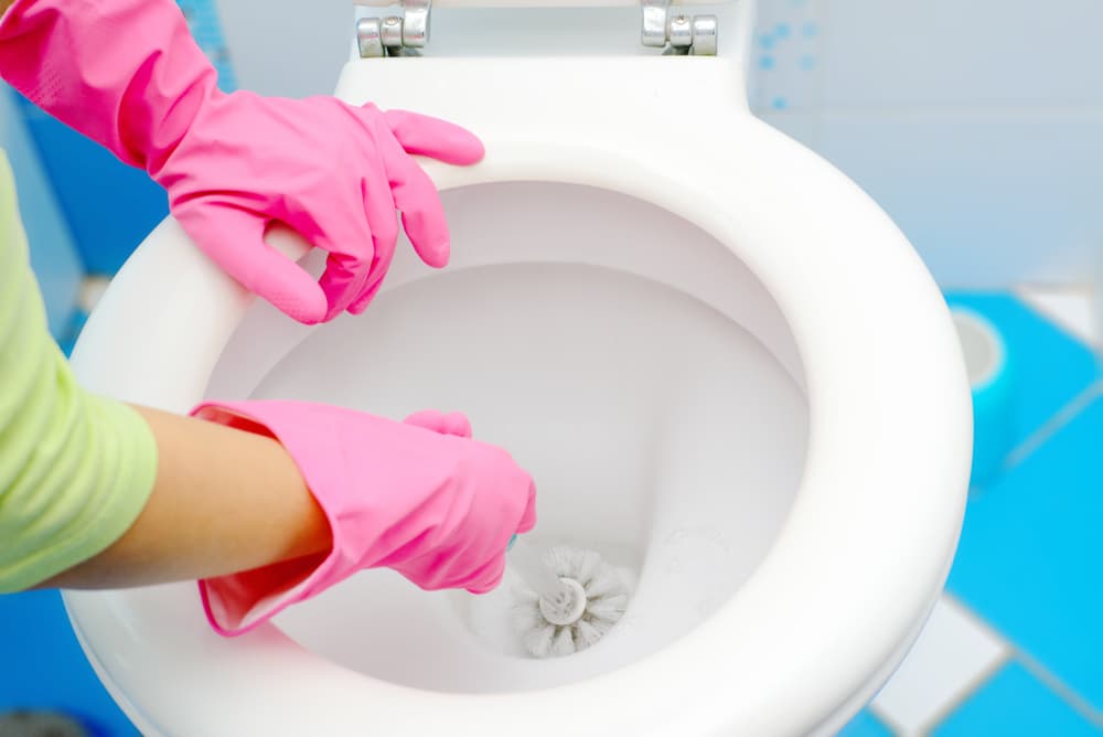How to remove hard water stains from the toilet
