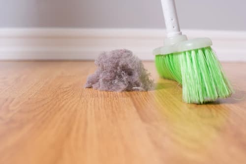 What causes dust bunnies
