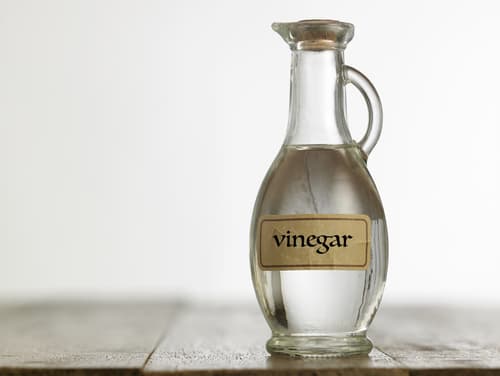 Is white vinegar antibacterial and antifungal