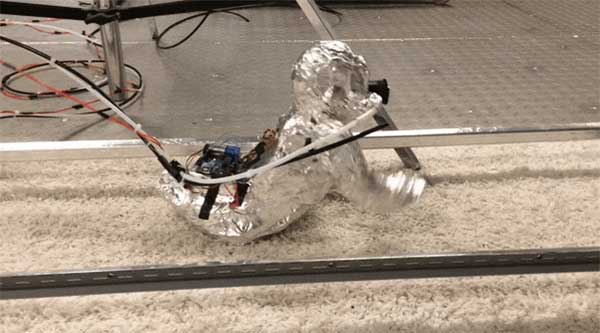 You are currently viewing Robot Baby Aids Carpet Debris Research