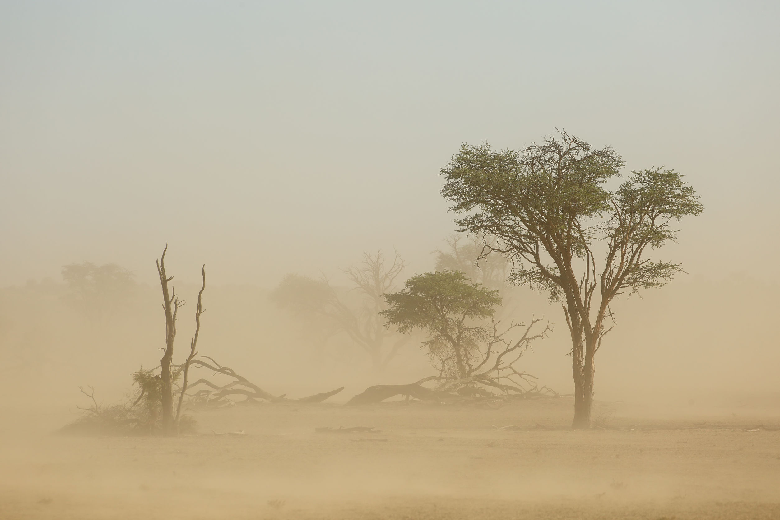 You are currently viewing 6 Tips to Protect Your Home’s Air Quality from Dust Storms