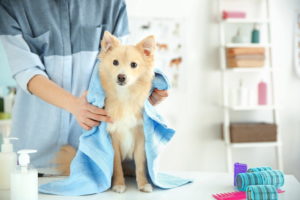 How do you keep your house clean with pets