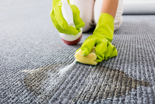 Where can I find a reputable cleaning service in Duluth
