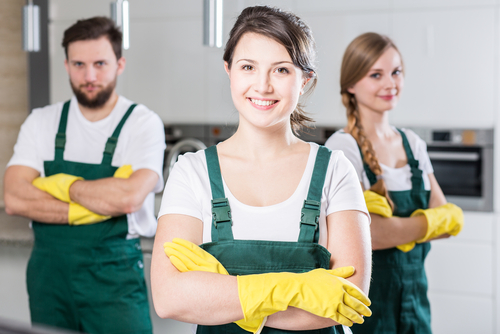 Where can I find experienced housekeeping professionals in Charleston & beyond
