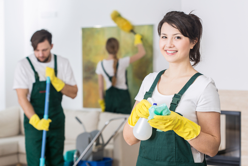 What skills are needed for a cleaner