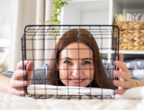 7 Reasons to Regularly Clean Pet Cages