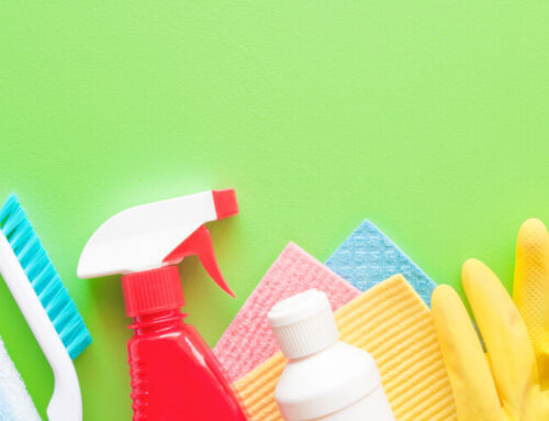 Shine Bright: A Guide to Eco-Friendly House Cleaning in Charleston, SC