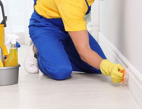Deep Cleaning vs. Regular Cleaning: Which Service Is Right for Your Greenville Home?