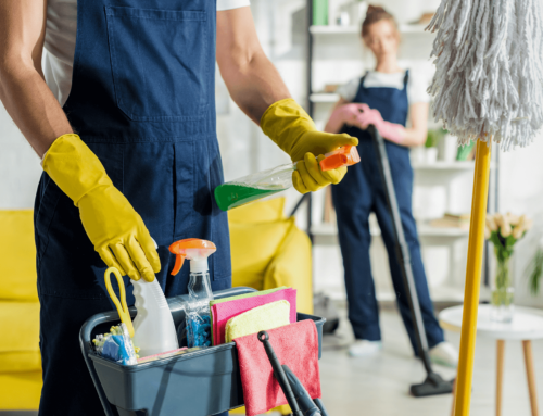 Unlocking the Hidden Benefits of Regular House Cleaning in Charleston, SC