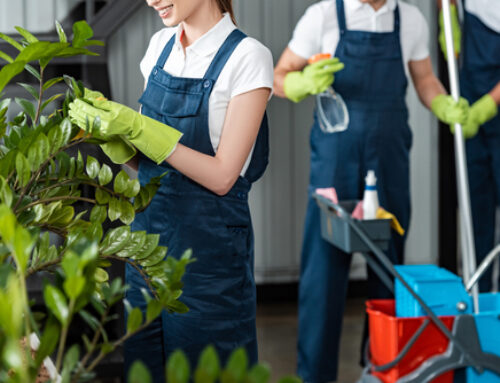 10 Common Plant Cleaning Mistakes