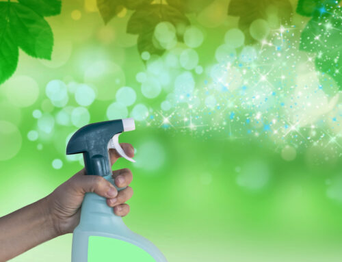 The Benefits of Green Cleaning for Your Charleston Home