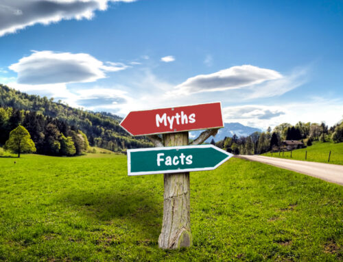 Green Cleaning Myths vs. Facts: Debunking Common Misconceptions