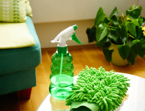 Green Cleaning vs. Conventional Cleaning: Which Is Better for Your Home in Greenville, SC?