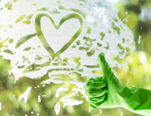 Why Eco-Friendly Cleaning is Essential for Families in Mount Pleasant, SC