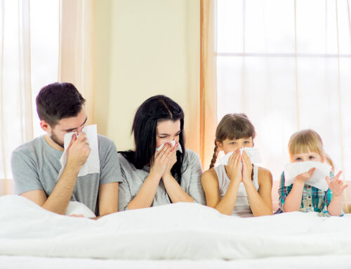 How Regular Cleaning Reduces Allergens in Your Charleston Home