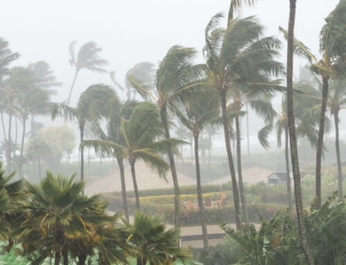 Hurricane Season Preparedness: Pre-Storm Cleaning for Charleston Homes