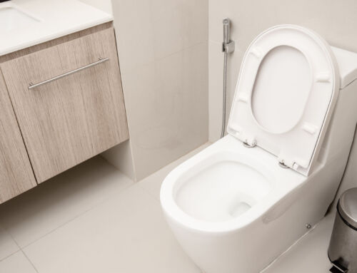 The Ultimate Guide to Keeping Charleston Bathrooms Sparkling Year-Round